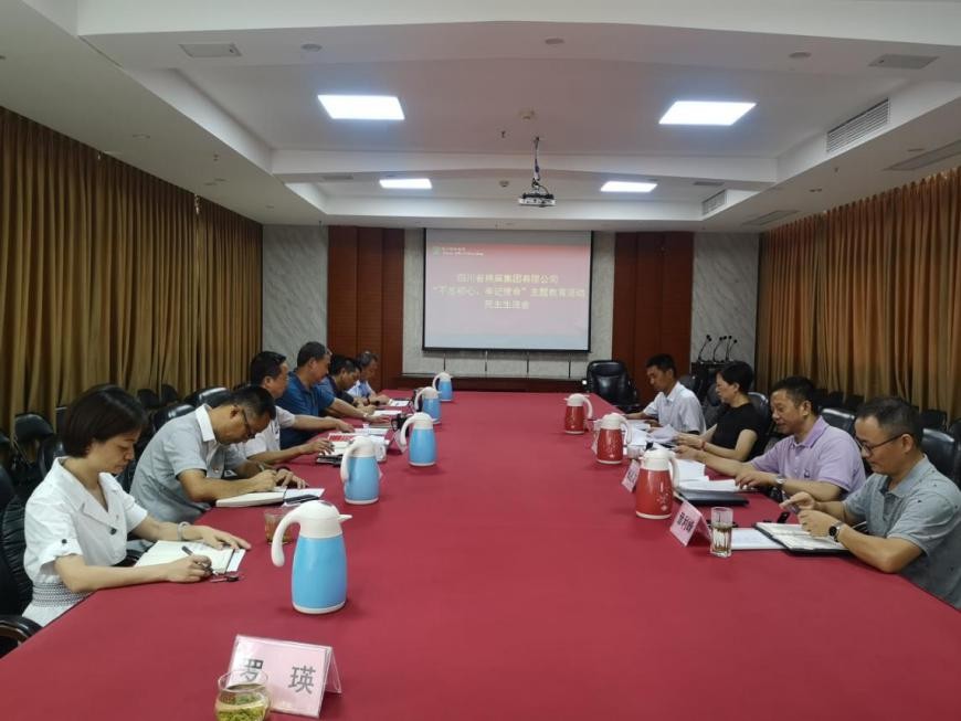 集團(tuán)公司召開“不忘初心、牢記使命”主題教育活動(dòng)民主生活會(huì)