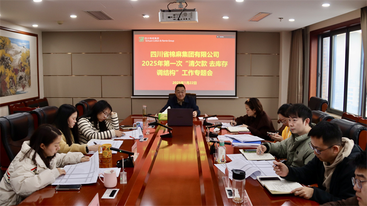 集團公司召開2025年第一次“清欠款、去庫存、調結構”工作專題會